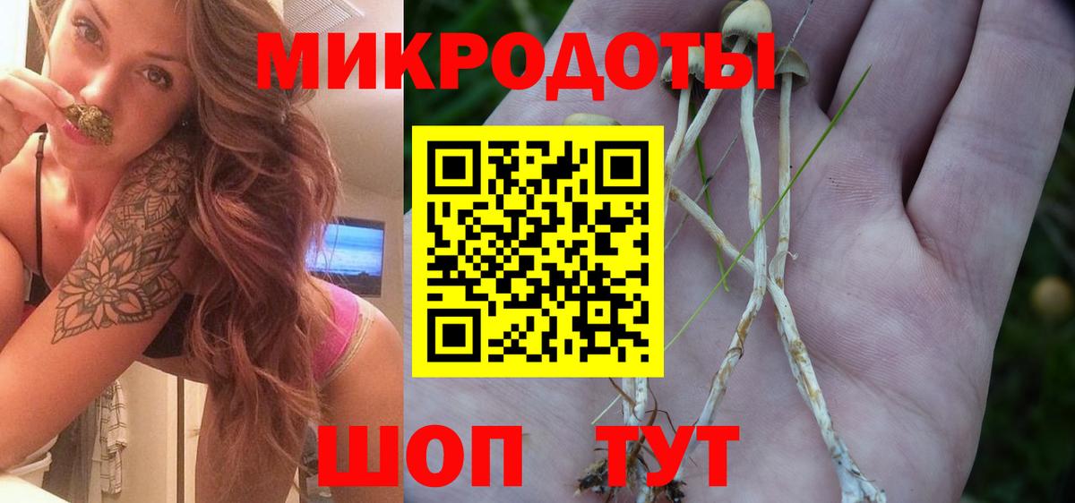 Галлюциногенные грибы прущие грибы Междуреченск