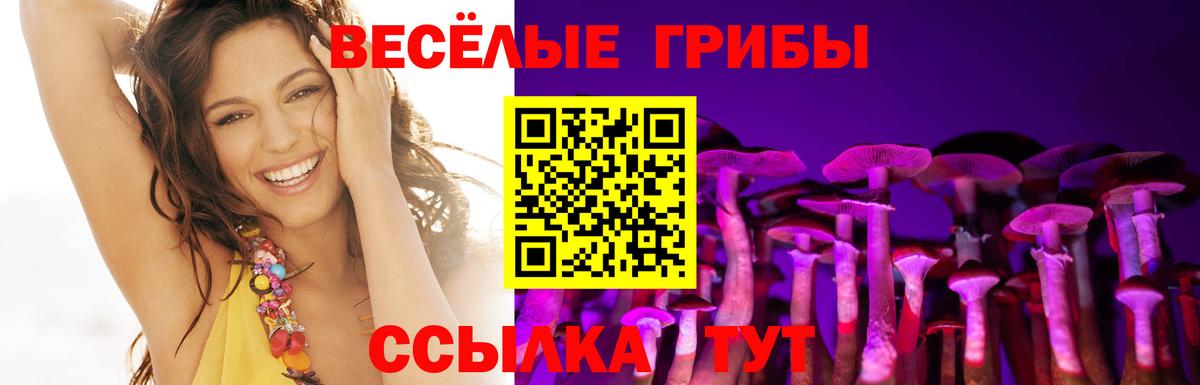Междуреченск  Псилоцибиновые грибы мицелий  Вход с VPN 